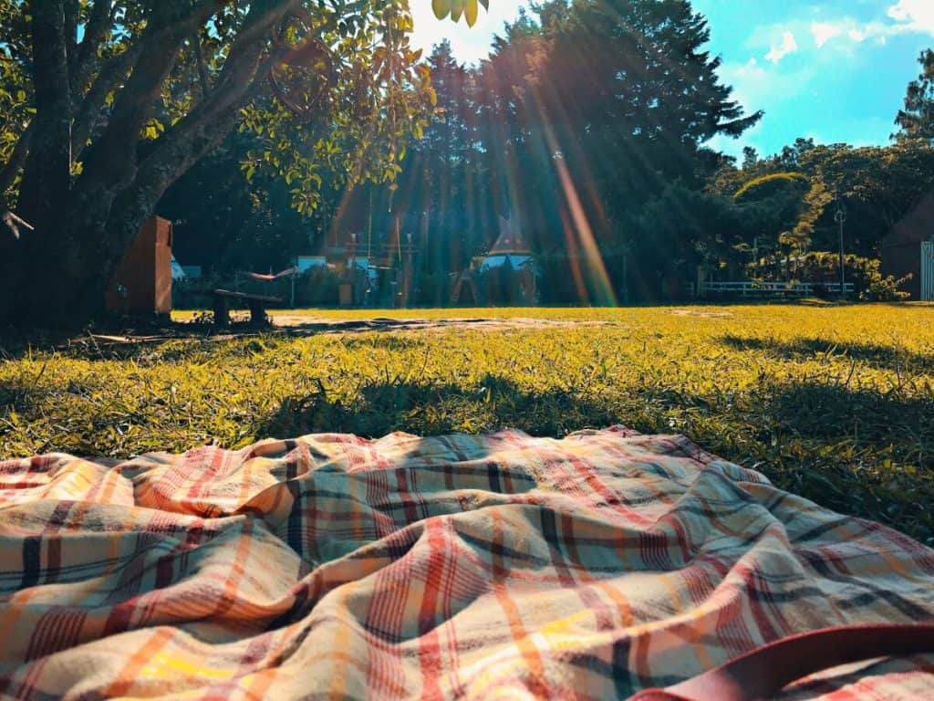 A picnic blanket on the grass before a tailgate party